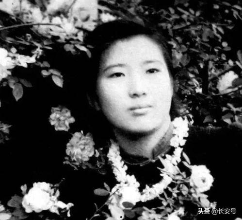 赵旭吃瓜,揭秘娱乐圈幕后真相