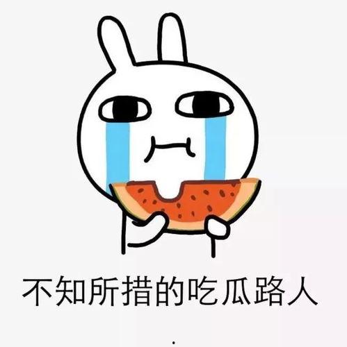 广西大新吃瓜,瓜果飘香，品味田园风光中的甜蜜时光