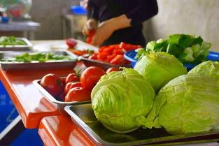 银行吃瓜节活动策划,欢乐盛夏，瓜香四溢的金融狂欢盛宴