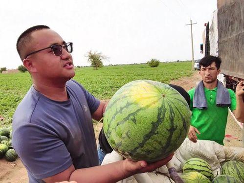 吃瓜的照片配乐