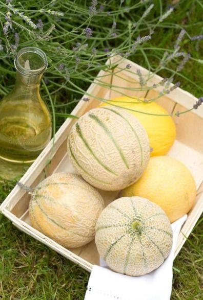 瓜瓜吃瓜二年,两年瓜界风云录