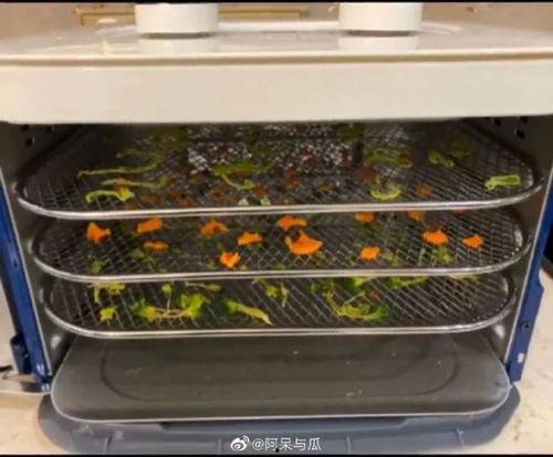 吃瓜视频考眼力,火眼金睛辨真伪，揭秘网络热点背后的真相