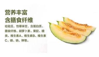 去哈密吃瓜,夏日味蕾之旅