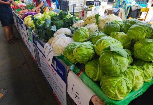 摆摊吃瓜的技巧,轻松掌握街头美食营销技巧