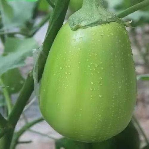 河南工贸吃瓜,吃瓜群众见证校园风云