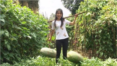 新密大瓜吃瓜群众视频在线观看,吃瓜群众视频在线观看，精彩瞬间一网打尽