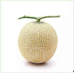 吃瓜群众 瓷盘,吃瓜群众视角下的瓷盘文化探秘