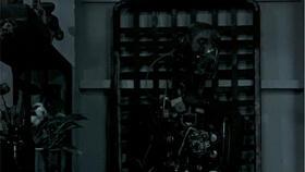 吃瓜纹身视频,纹身艺术与流行文化碰撞