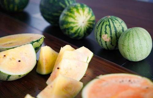 浙林弄吃瓜,揭秘当地特色美食背后的故事