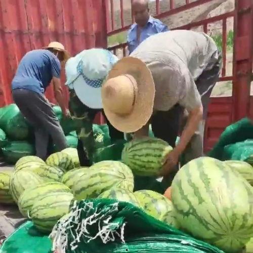 爱心吃瓜图片头像,趣味横生的头像故事