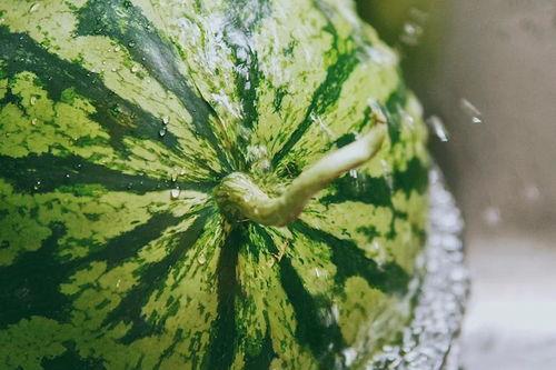 监控下吃瓜,揭秘网络围观背后的真相