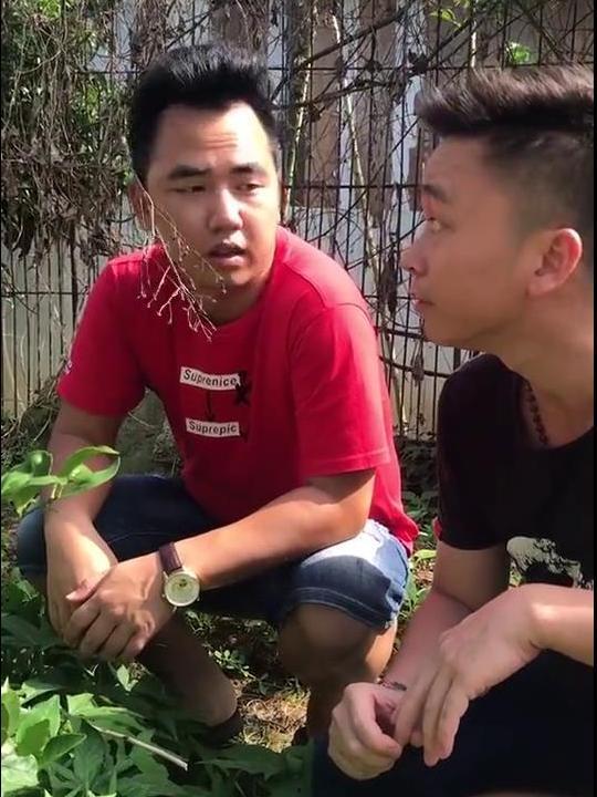 表弟坑表哥吃瓜,一场欢乐的吃瓜盛宴