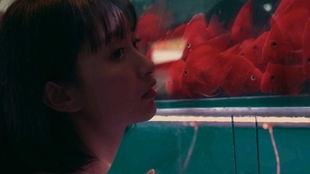 吃瓜老头女孩,揭秘网络红人的成长之路