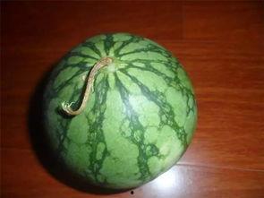 砍瓜是吃老瓜吗,是吃老瓜还是嫩瓜？