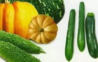 春吃萝卜夏吃瓜,春萝卜夏瓜，养生之道