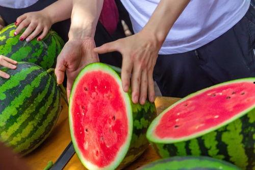 建材学院教室吃瓜,建材学院教室里的“瓜田”奇遇记