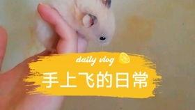 吃瓜背景板小说,揭开吃瓜背后的神秘面纱