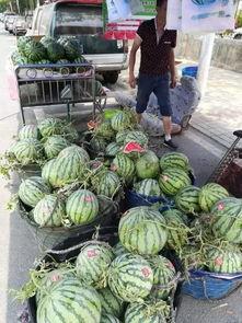 合肥最新吃瓜事件,揭秘XX事件背后的真相与争议