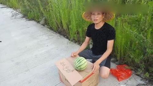 农民卖瓜吃瓜不给钱,农民卖瓜不收钱的温馨故事