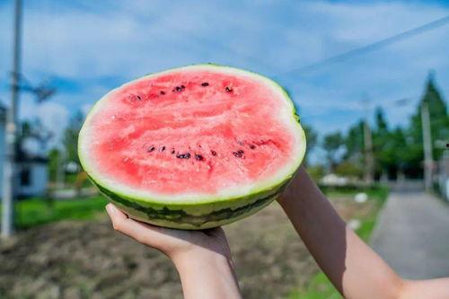 新赛季吃瓜,盘点娱乐圈最新热点事件