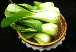 牛腿瓜和油菜能一起吃吗,牛腿瓜与油菜的搭配食用指南