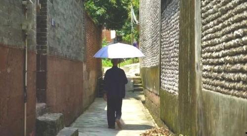 槐荫区吃瓜群众事件,网络围观下的社会现象解析